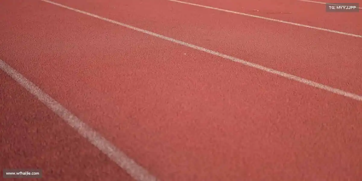 为什么选择我们